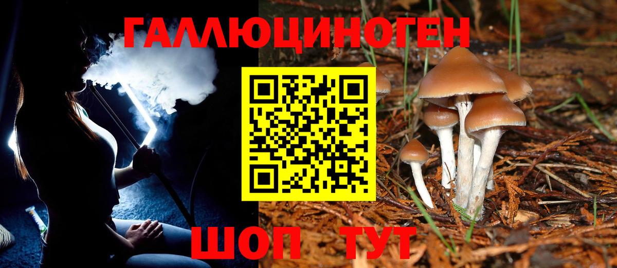 Галлюциногенные грибы мицелий Гусиноозёрск